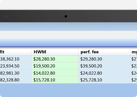 Performance Fees